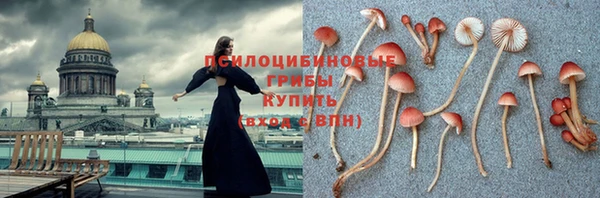 альфа пвп Аша
