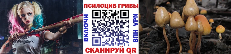 Галлюциногенные грибы мухоморы  как найти закладки  ссылка на мегу онион  Билибино 